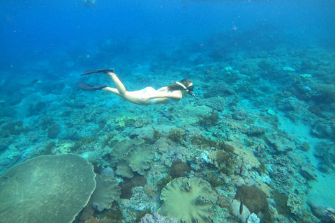 Nusa Penida: Tour in barca per lo snorkeling con le mante