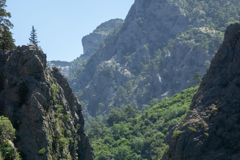 Alanya: Green Canyon Serenity Cruise with Lunch & Pickup