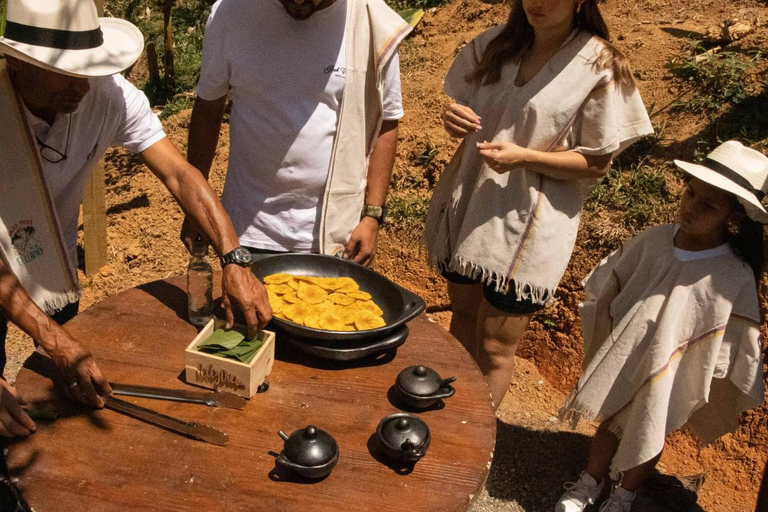 Medellin: Coffee and fruit tour