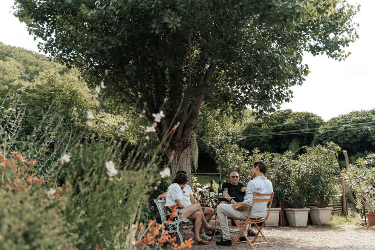 Lyon: Private Burgundy Wine Full Day Tour by Defender With Private car transfer from/to Lyon