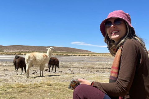 San Pedro de Atacama : 4 jours d&#039;excursion dans les salines d&#039;Uyuni