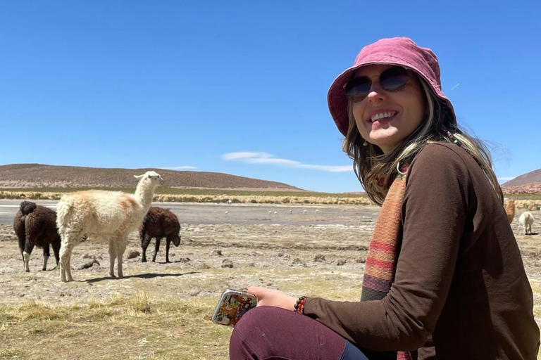 San Pedro de Atacama : 4 jours d&#039;excursion dans les salines d&#039;Uyuni