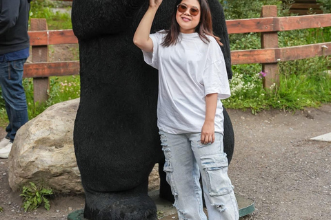 Lake Minnewanka, Lake, Louise, Johnson Lake & Banff Gondola