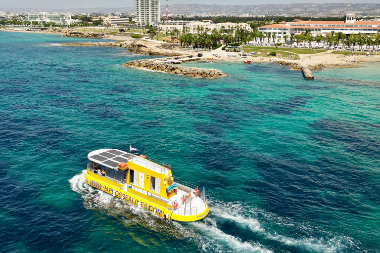 Pafos: Crucero a nado de 2 horas con observación de tortugas y bebidas