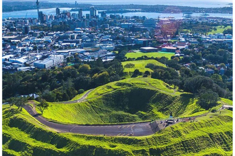 Excursion privée de 5 heures à la découverte des trésors d&#039;Auckland