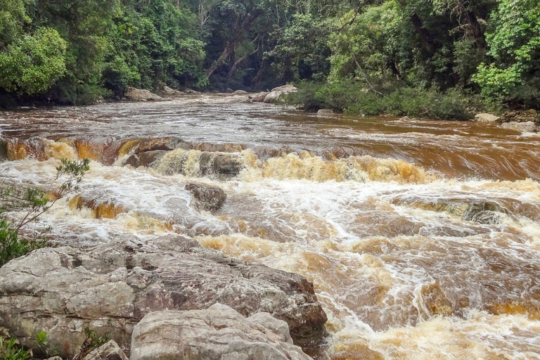 Kuala Lumpur: Taman Negara Tour w/Lata Berkoh Falls & Lunch Pickup Within KL City Centre Area Only