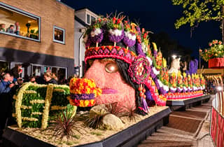Amsterdam: Beleuchtete Blumenparade + Tulpen-Tour