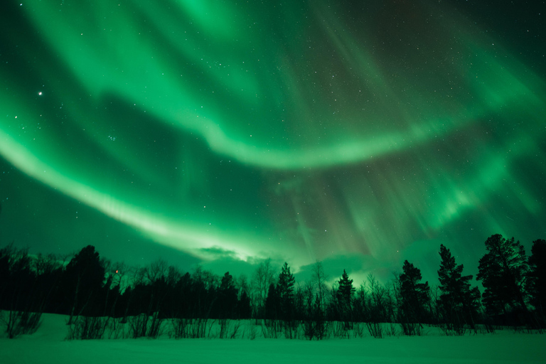 Kiruna: Sami-Inspired BBQ Dinner with Northern Lights Chase