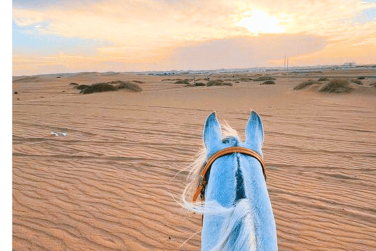 Doha: Pro Halbtagestouren, Ganztagestouren und Touren mit Übernachtung verfügbarGanztagestour Wüstensafari mit Campzugang und Abendessen/Mittagessen