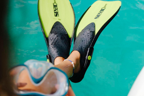 Half Day around the St Martin marine reserve