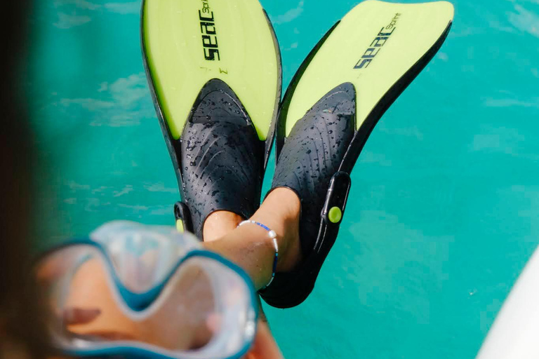 Half Day around the St Martin marine reserve