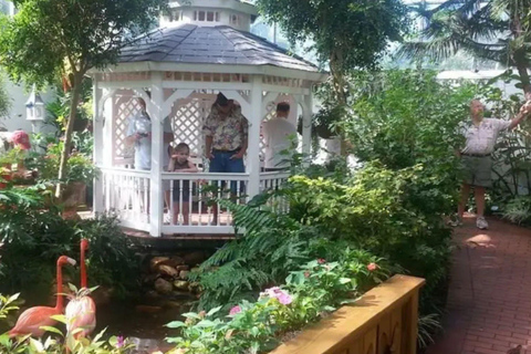 Key West Adventure: Day Trip from Miami to Paradise! ☀️