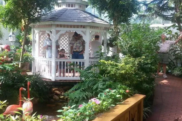 Key West Adventure: Day Trip from Miami to Paradise! ☀️