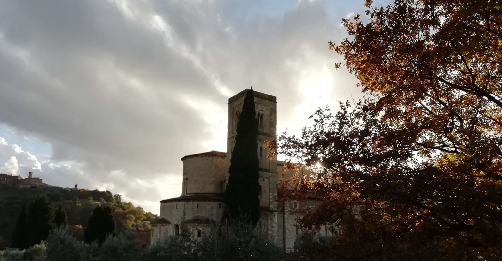 From Siena, Brunello di Montalcino Guided Wine Tour W/ Lunch - Housity