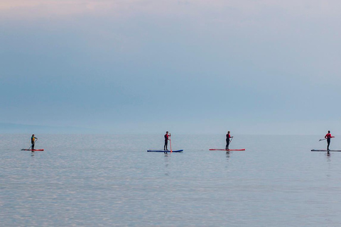 San Diego: Paddleboard Rental1-hour rental