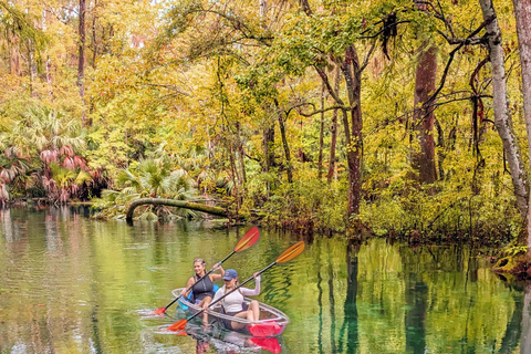 Silver Springs: Jungle Kayaking & Paddleboarding Adventure Paddleboard (Not a Kayak)