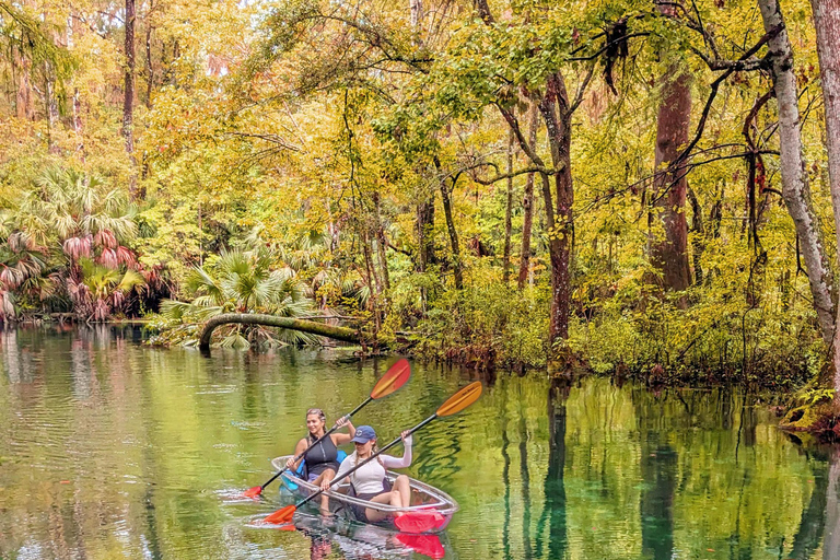 Silver Springs: Jungle Kayaking & Paddleboarding Adventure Paddleboard (Not a Kayak)