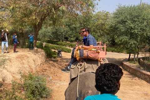 Jaipur: Hathi Gaon Elephant Riding, Painting, Feeding & More Riding on Elephant with Photogarphy