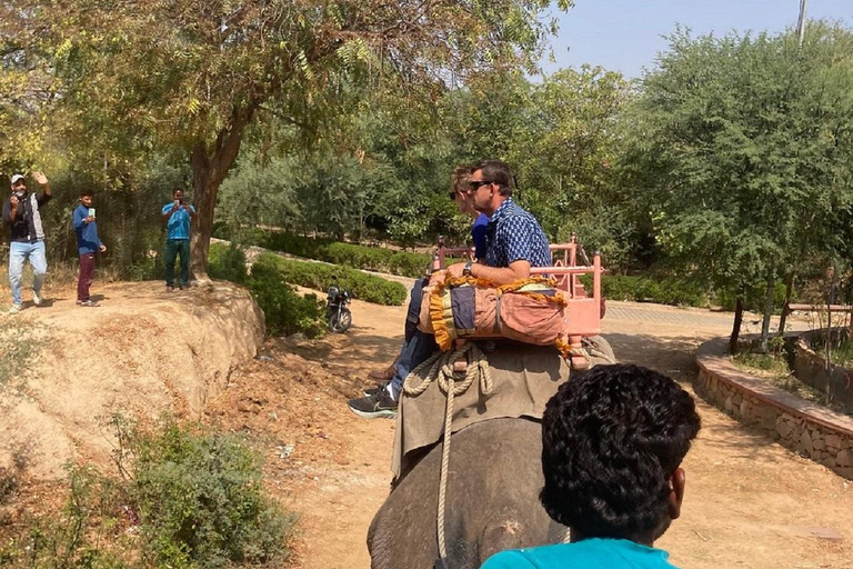 Jaipur: Hathi Gaon Elephant Riding, Painting, Feeding & More Riding on Elephant with Photogarphy