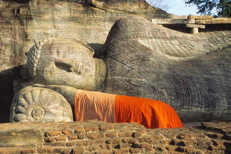 Dambulla et Polonnaruwa : Circuit tout compris au départ de Negombo