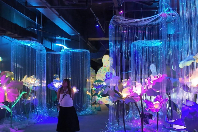 Manila: Ocean Park and Digital National Art Museum Pass