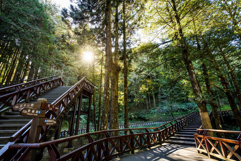 From Taipei: Alishan 2 Days Private Tour