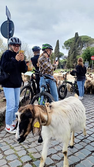 Paseo en e-Bike por la Vía Apia y los Acueductos al Despertar o al Atardecer