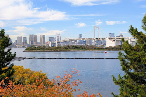 Tokyo Luxury Private City Tour Customizable with Guide