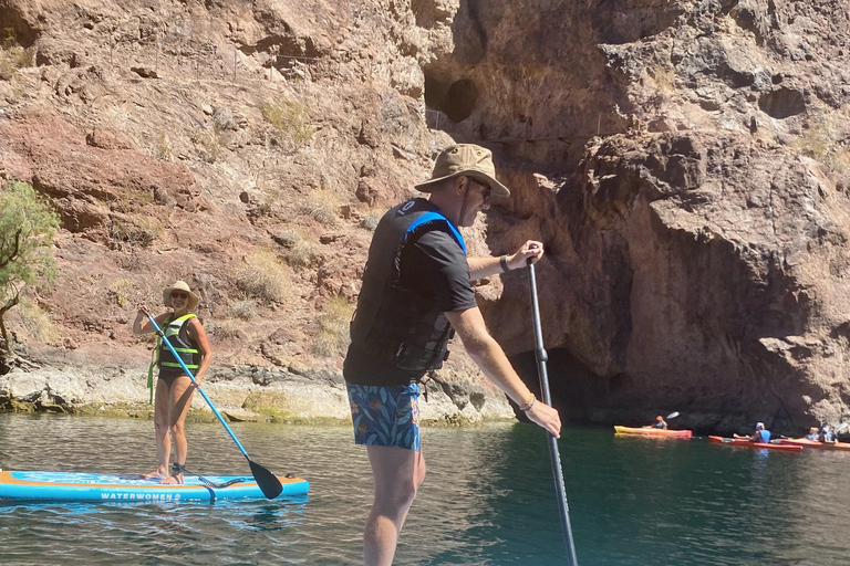 Plage de Willow : Location de paddle board