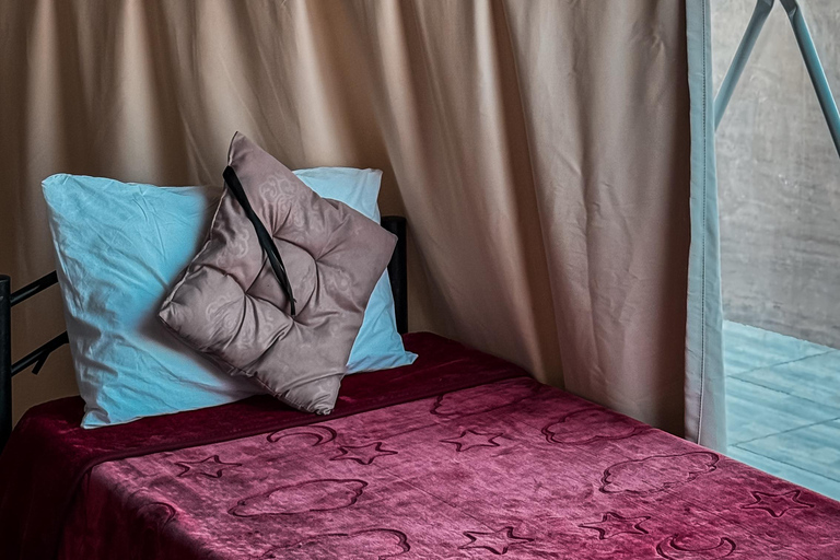 Wadi Rum: Desert Camp Tour With Jeep Safari And Star Gazing: