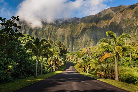 Passeio da costa leste de Oahu até a montanha