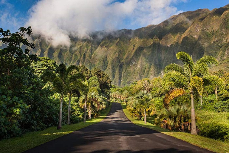 Wycieczka od wschodniego wybrzeża Oahu do gór