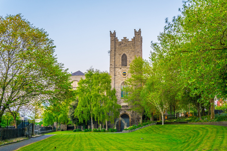 Dubline: Irish Churches and Religion Private Walking Tour 3-hour: 2 Churches & 2 Cathedrals Tour