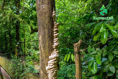 Puntarenas: Rainmaker Park Guided Tour with Lunch