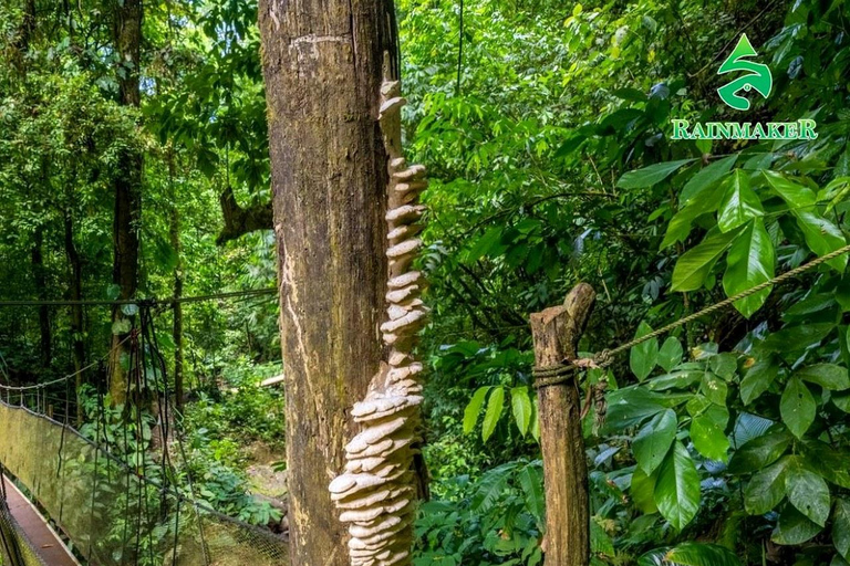 Puntarenas: Rainmaker Park Guided Tour with Lunch