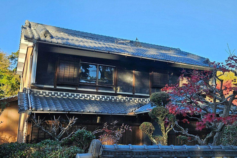 Nara Gardens and Temples Private Guided Tour with Transport