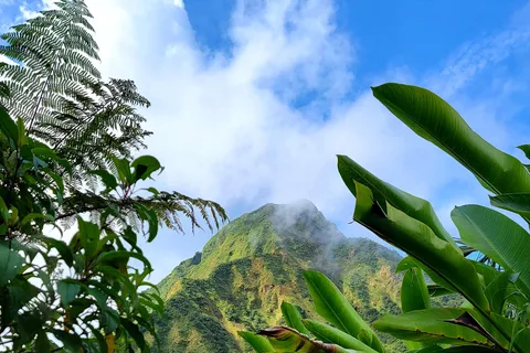 Dominica: Hiking tour to the boiling lake!