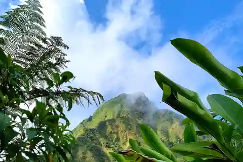 Dominica: Hiking tour to the boiling lake!