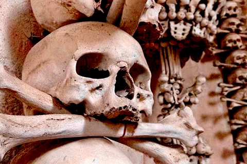 Rome: Explore Capuchin Museum & Crypt with Audio guide