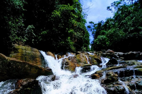 From Colombo: Kanneliya Rainforest Waterfalls Tour with Swim