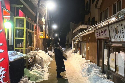 From Sapporo: Lake Shikotsu Ice Festival & Illumination Tour