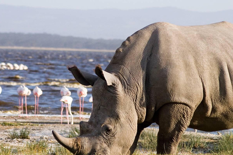 Excursión de 2 días al Lago Nakuru, la Puerta del Infierno y el Lago Naivasha