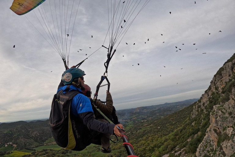 Gleitschirmfliegen: in der Nähe von Ronda (Málaga)