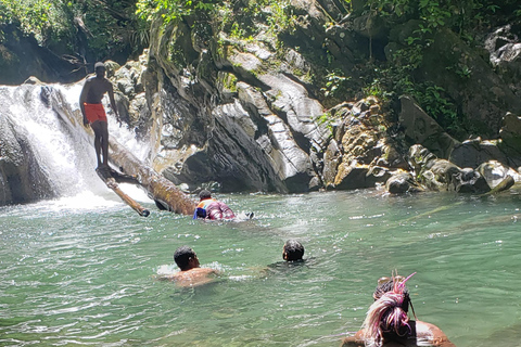 Trinidad: Excursión a la Cascada de Aripo con experiencia de natación