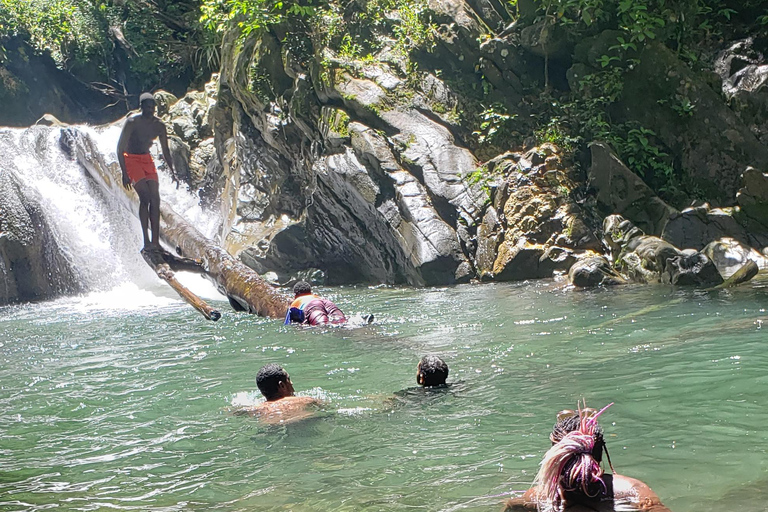 Trinidad: Excursión a la Cascada de Aripo con experiencia de natación