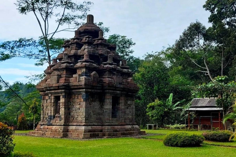 Yogyakarta: Selogriyo-Tempel und Reisterrasse Soft Trekking