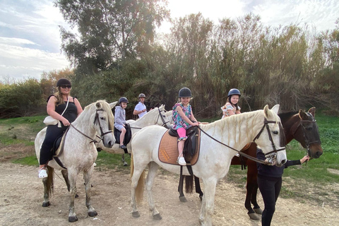 Málaga: Guided tour on horseback in the Guadalhorce ValleyMalaga: Guided tour on horseback through the Guadalhorce Valley in English