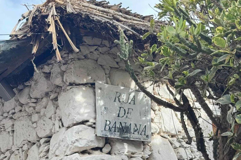 Praia:Cidade Velha Plantations, Grogue Tasting and Fort Tour