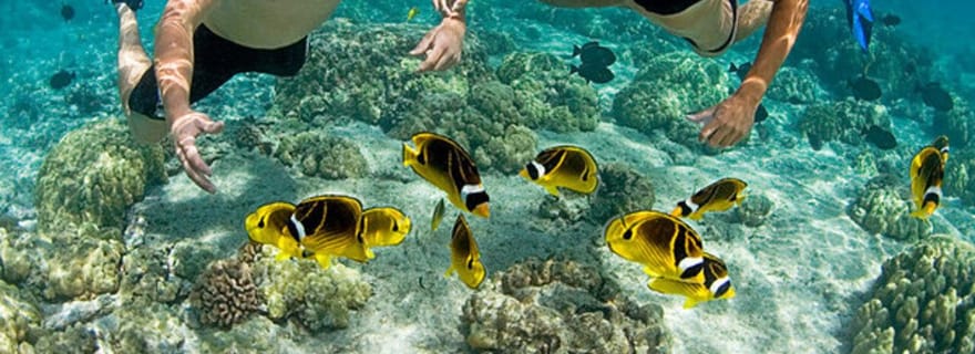 Zanzibar : excursion snorkeling et voile au récif de Kiwengwa