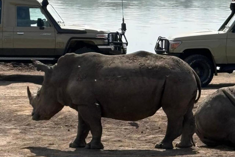 Nairobi: National Park Half-Day Safari with Hotel Pick-Up